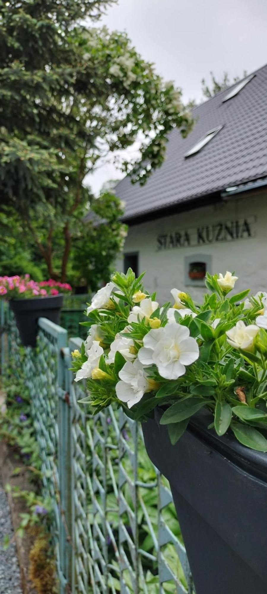 Duszniki ZdrójStara Kuznia公寓 外观 照片